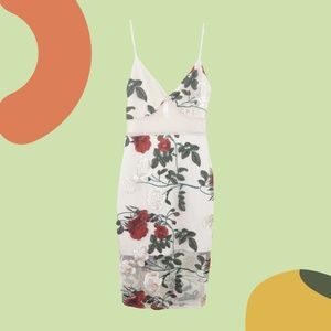 Embroidered Mini Dress